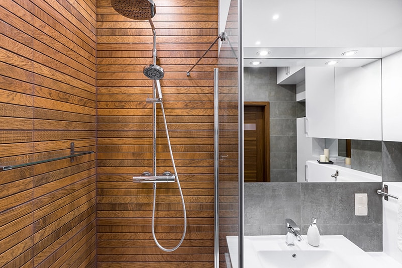 fixtures in a shower