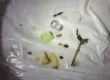 trash removed from jammed garbage disposal showing debris buildup