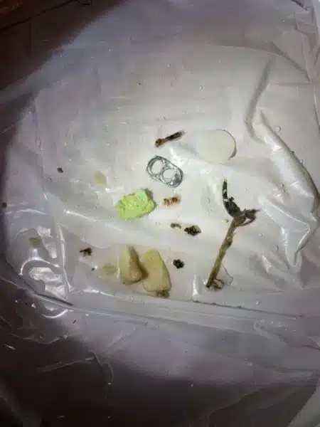 trash removed from jammed garbage disposal showing debris buildup