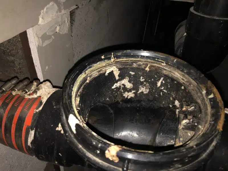 Interior backwater valve assembly with protective components removed