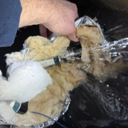 Plumbing leak in Post Falls home