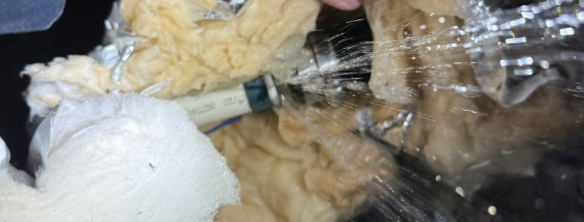 Plumbing leak in Post Falls home