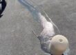 failed thermal expansion tank full of water after bladder rupture in Hayden home